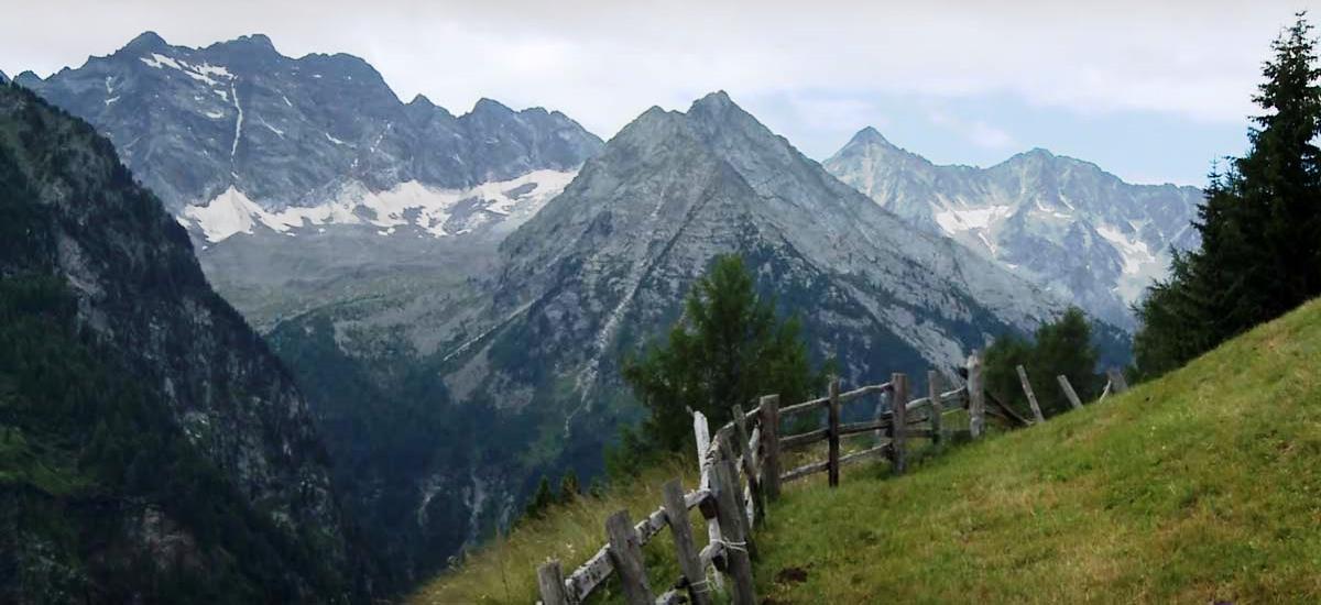 Heuwiese-urlaub-auf-dem-bauernhof-ahornach-suedtirol1