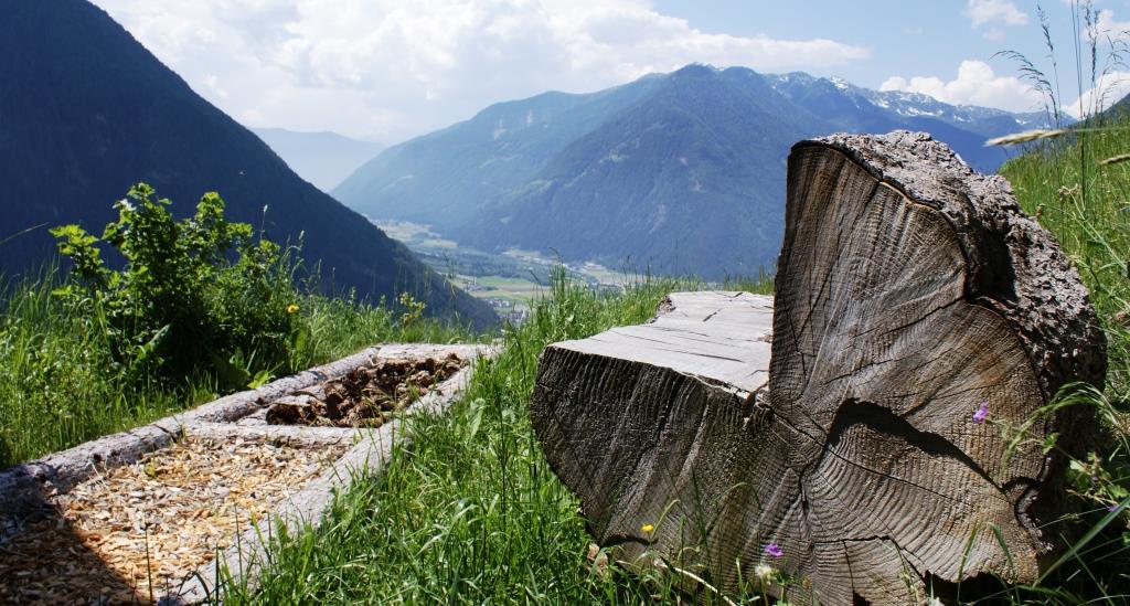 barfussweg-ahornach-sand-in-taufers-aussermairhof